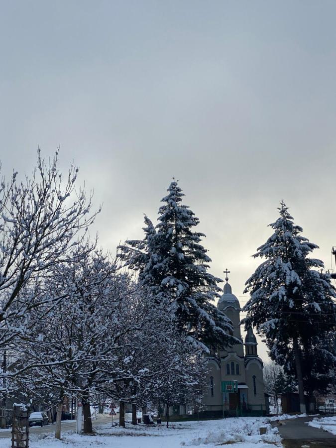 Вілла Casa Dea Gladna Montana Екстер'єр фото